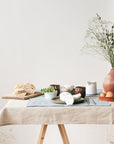 Light pink linen placemats set - Linen Couture